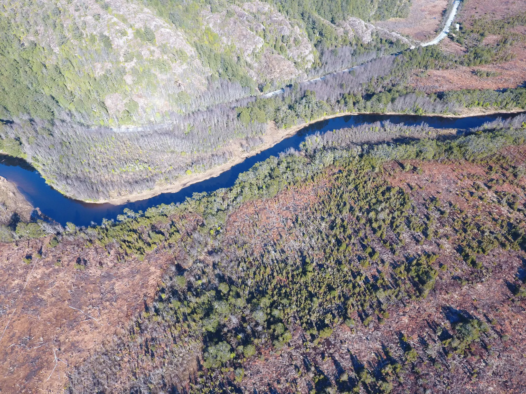 Vista aérea de una curva del Río Vargas bordeada de bosque