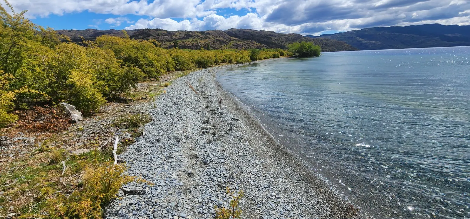 Playa de piedras en la orilla del Lago Cochrane, bordeada de matorral