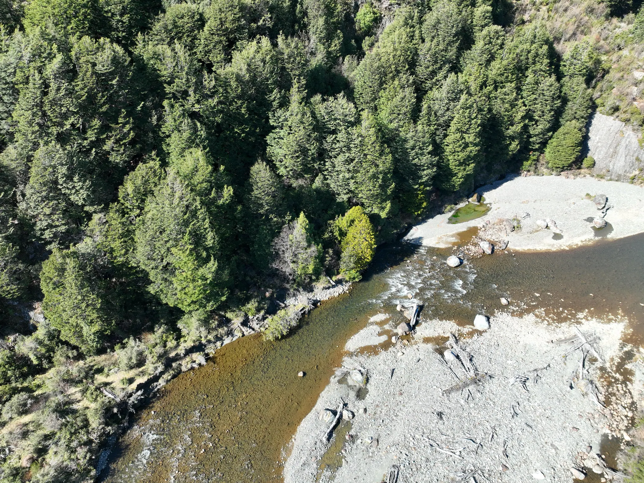 Vista aérea de la orilla del Río Exploradores, con playa de piedras y bosque