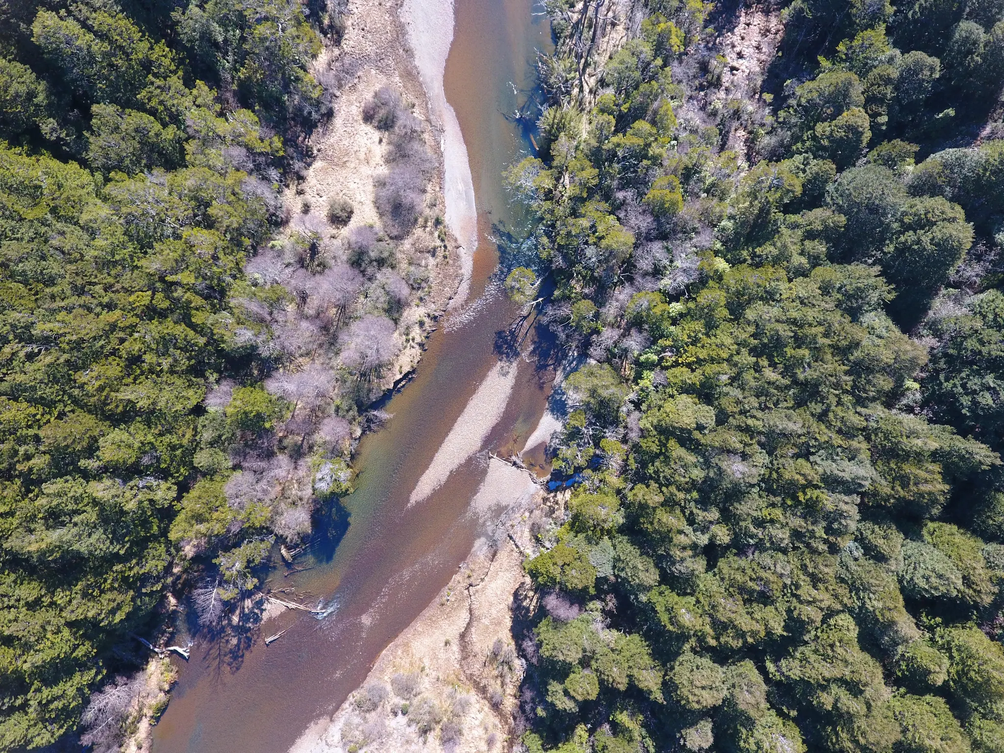 Vista cenital del cauce del Río Exploradores, con bancos de arena y bosque a ambos lados