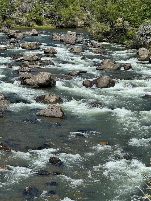 Curso de agua a la orilla del predio de Río Norte