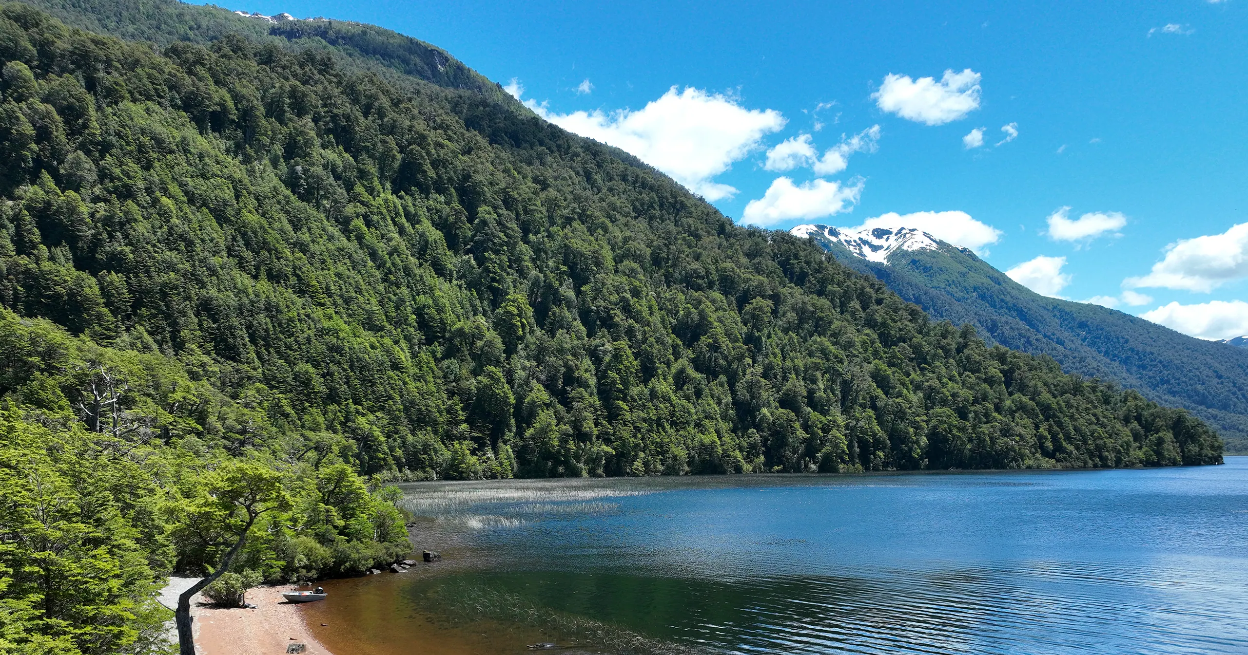 Ladera de bosque nativo cayendo hacia un lago azul, con una playa de arena, un bote varado en la orilla y una cumbre nevada al fondo