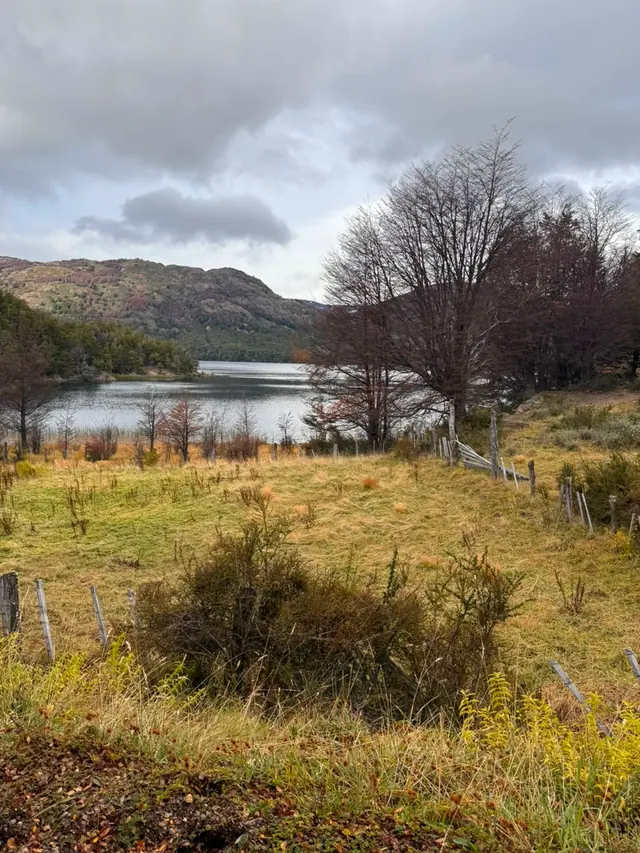 Orilla de Lago Alto en la parcela de 0,6 hectáreas