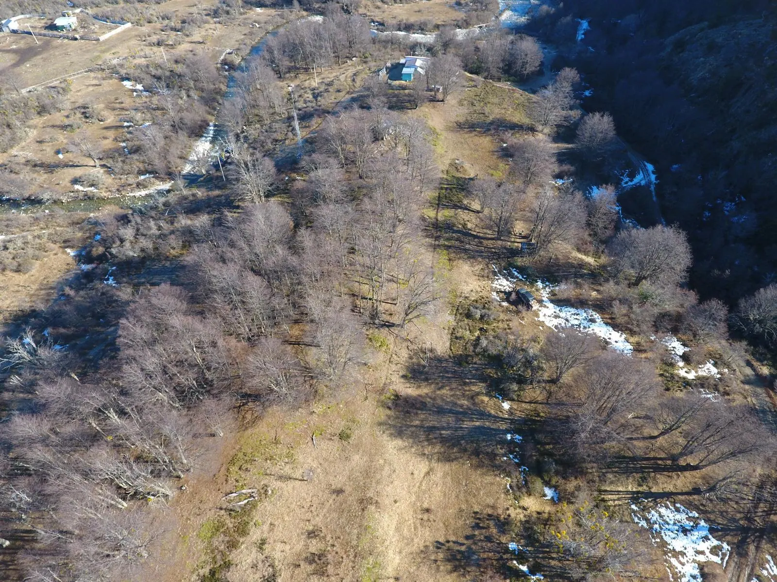 Vista aérea de bosque y pradera en el sector del Río Bertrand, con nieve entre los árboles