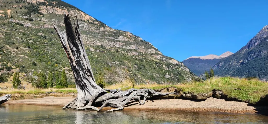 Tronco seco sobre la playa de arena del Lago Azul