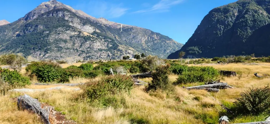 Pradera con matorral y troncos al pie de los cerros